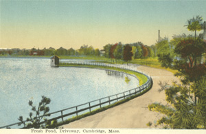 Fresh Pond Driveway postcard
