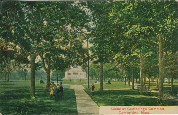 Cambridge Common