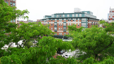 Central Square
