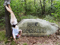 Use Your Head